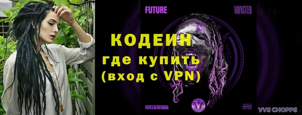 шишки Богородск