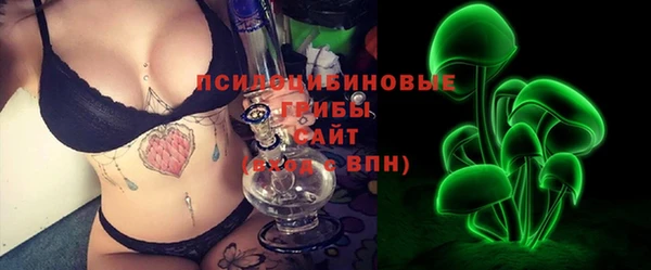 шишки Богородск