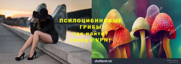 шишки Богородск