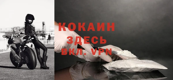 шишки Богородск