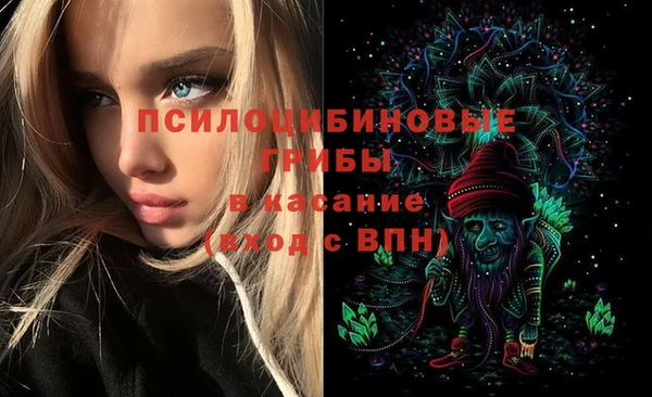 мяу мяу мука Богородицк