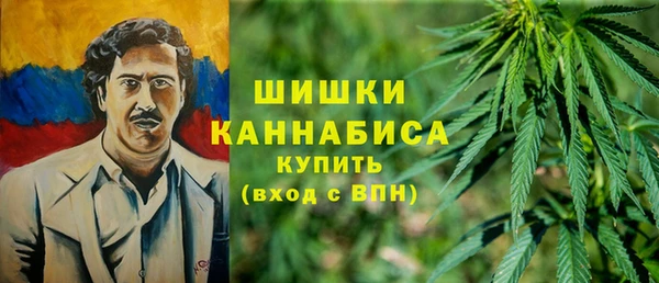 шишки Богородск