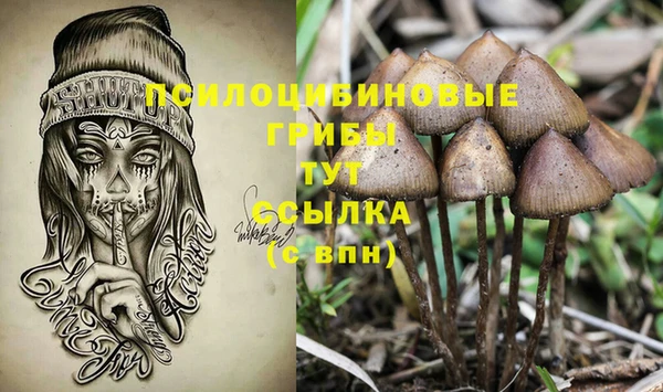 шишки Богородск