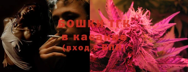 шишки Богородск