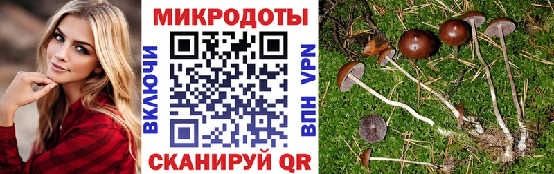 Галлюциногенные грибы GOLDEN TEACHER Ижевск
